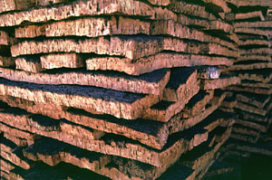 Stacked cork bark