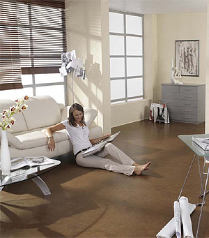 Cortex - Solutions for your study